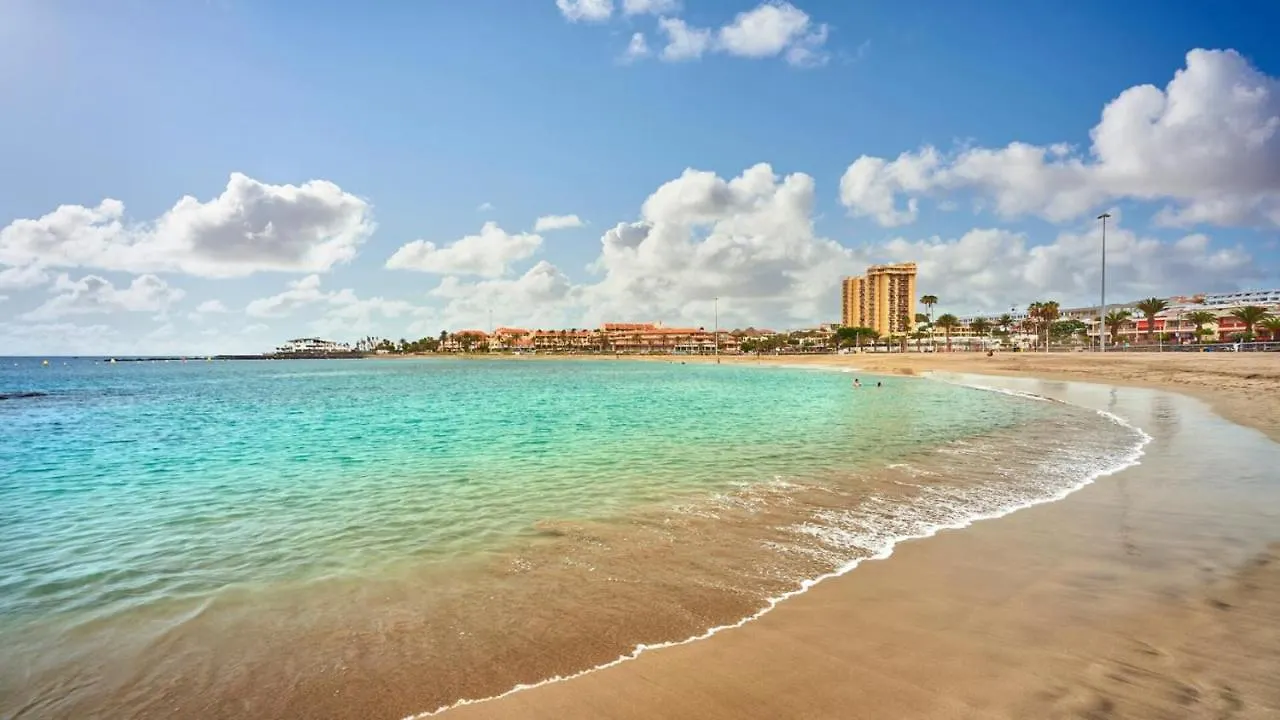 Ferienwohnung Wonderful Holidays, Ocean View, Close To The Beach Playa de las Américas Apartment